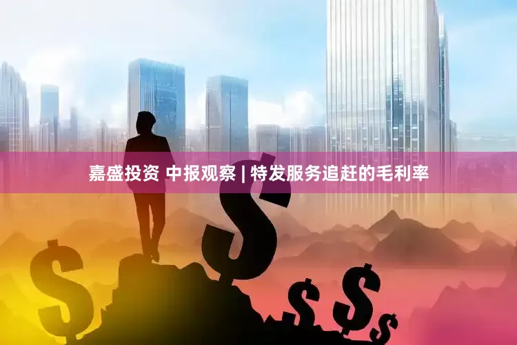 嘉盛投资 中报观察 | 特发服务追赶的毛利率