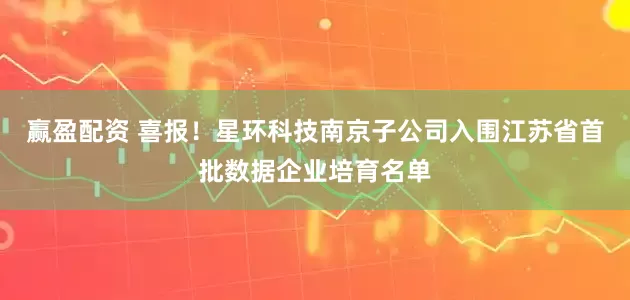 赢盈配资 喜报！星环科技南京子公司入围江苏省首批数据企业培育名单
